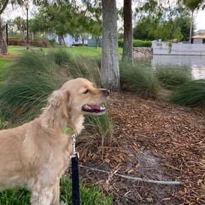 Meet your Posher, Samantha